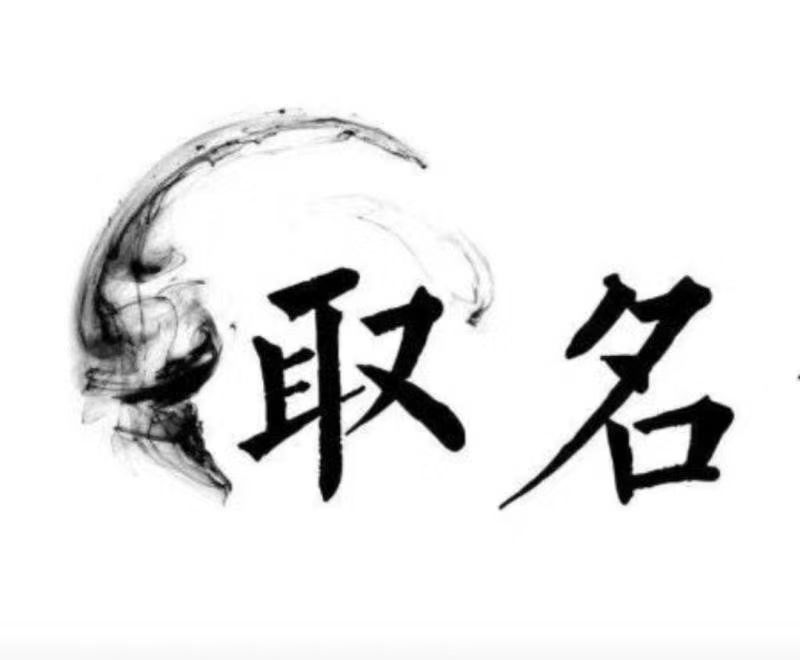  潞城宝宝取名 大师一对一人工起名